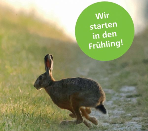 Veranstaltungsprogramm für 2026